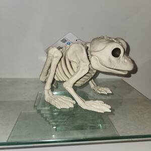 NWT Frog Skeleton 4.5"